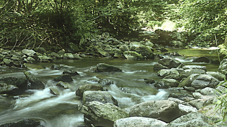 Kleiner-K%c3%b6sslbach_Bachlauf-des-kleinen-K%c3%b6sslbach_c-Limberger-Josef_web