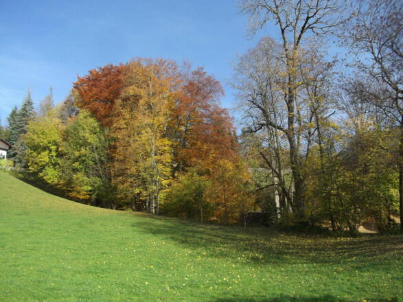 Blick von der Terrasse aus