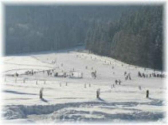 Skigebiet Hirschberglifte