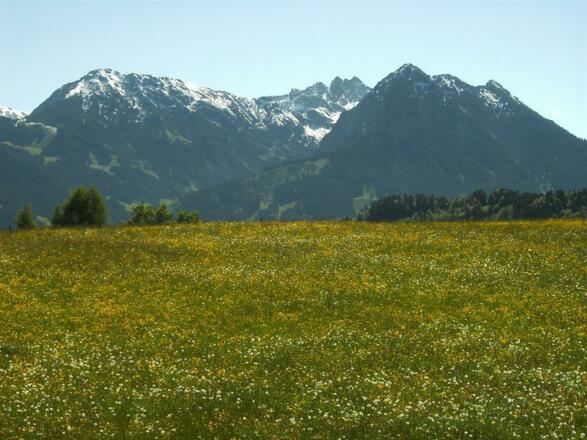 Ausblick vom Wohnzimmer aufs Nebelhorn