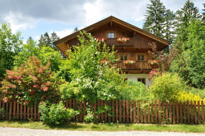 Wunderschön eingewachsener Garten.