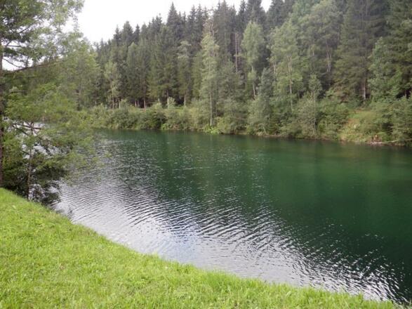 Auwaldsee - nur 10 Minuten von Fischen entfernt