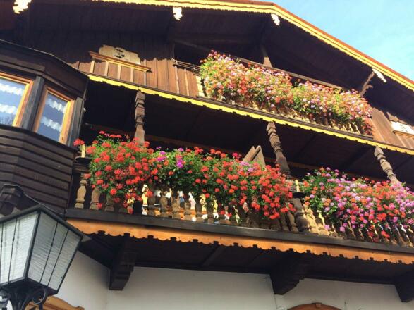 Blumenpracht am Haus