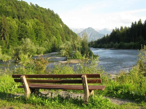 Am Auwaldsee in der Nähe