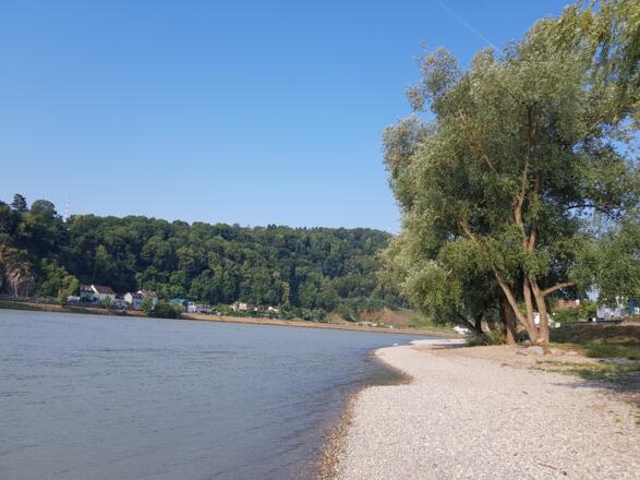 donaustrand-alt-urfahr_c_tk