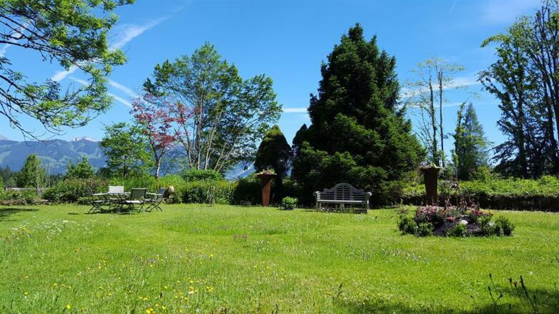 Großer Garten mit viel Platz