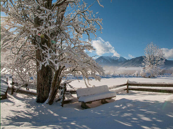 Ferienwohnungen Festlhof in Rottach-Egern am Tegernsee