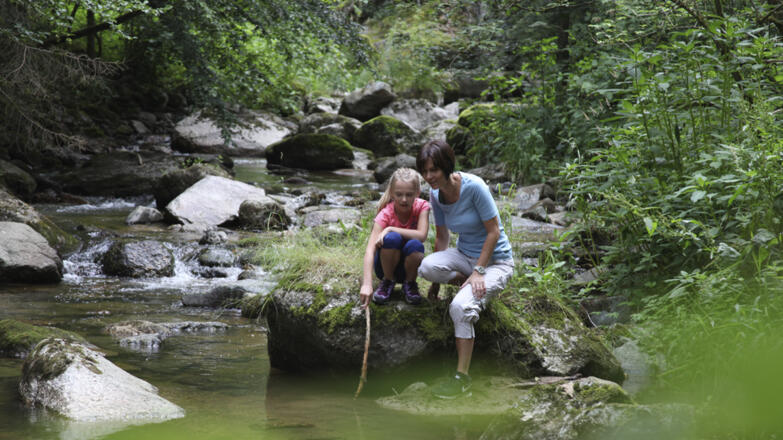 Pesenbachtal_Oberoesterreich-Tourismus-GmbH_Martin-Fickert (3)_web