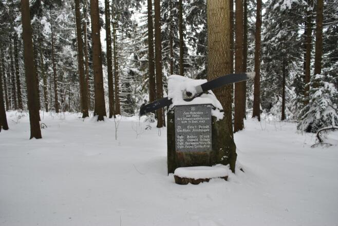 Fliegerabsturzstelle