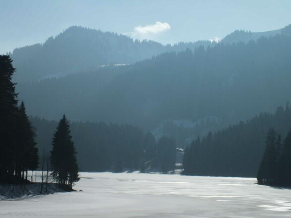 Nachbar Spitzingsee