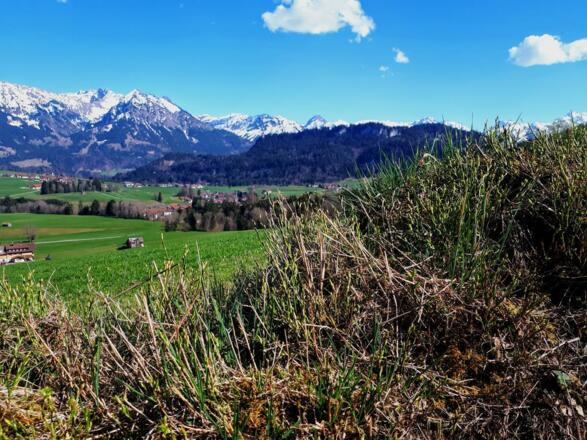 Aussicht vom Wanderweg hinter dem Haus