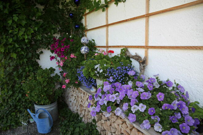 mit Liebe zum Detail