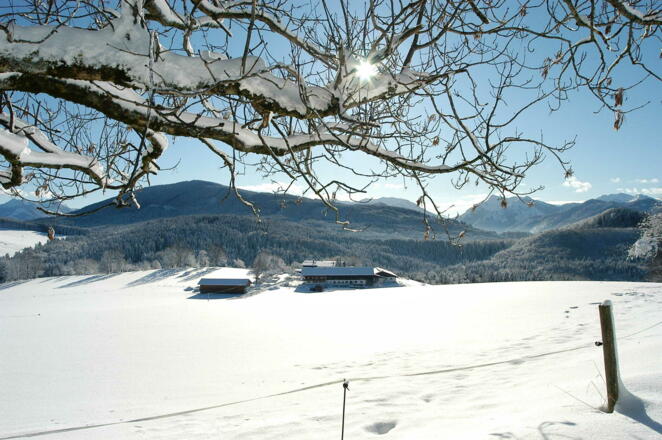 Strahlender Sonnenschein
