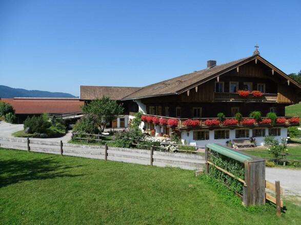 Blick auf unseren Hof mit Garten