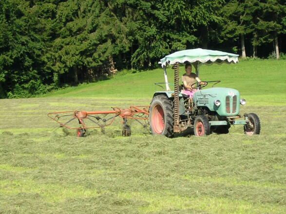 Heuernte für die Heumilch der NaturkäsereiTegernseerLand