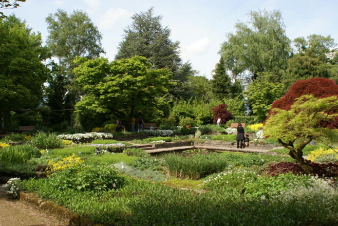 Botanischer Garten Linz