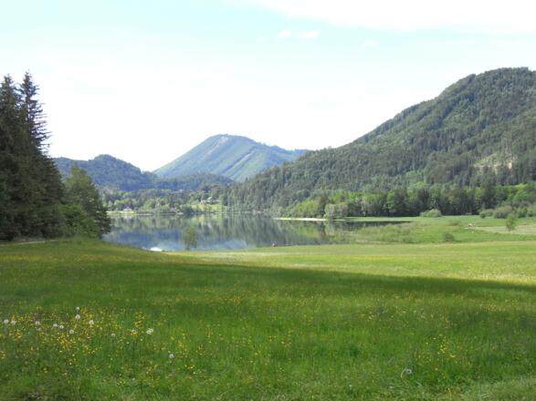 Blick vom Hintersee-Rundwanderweg zum Badeplatz Taugl-Zipf