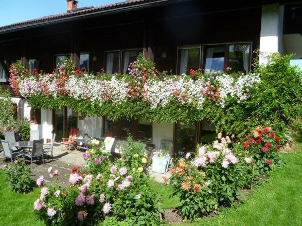 Blütenpracht im Wandersommer - Gästehaus Weitnauer