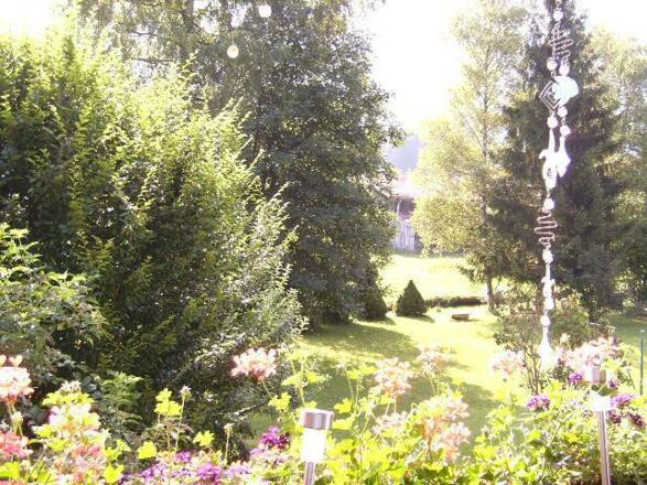 Aussicht in den Garten