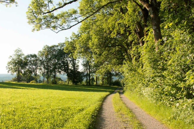 Rund um die Ferienwohnung