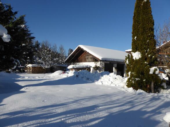 In unserem winterlichen Garten