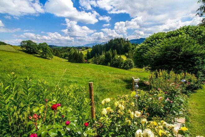 Traumhafter Blick in die Landschaft