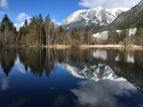 PHOTO-2021-02-04-16-44-33