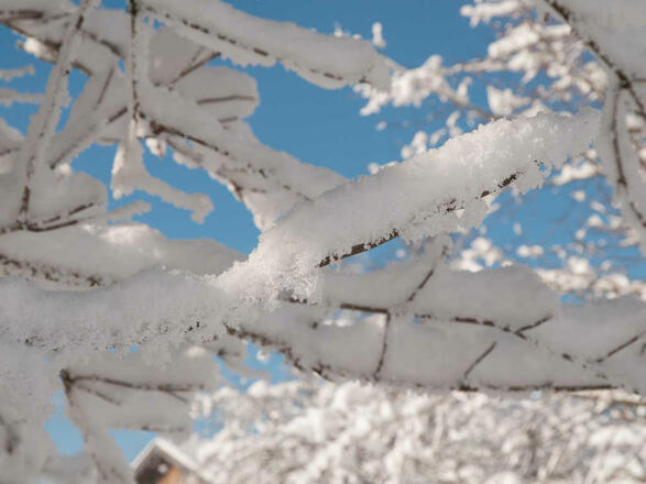 Ferienwohnungen Festlhof in Rottach-Egern am Tegernsee