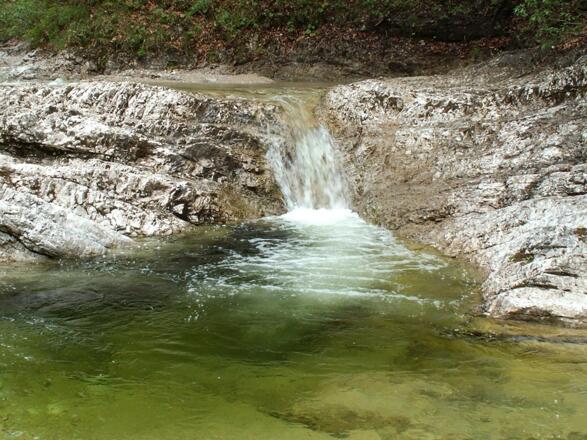 Krumme Steyrling © Buchner