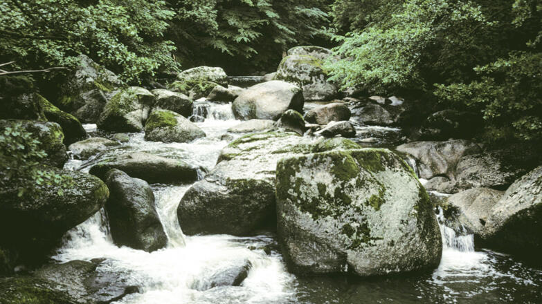 Pesenbachtal_Bachbett-des-Pesenbaches-mit-gro%c3%9fen-Blockstrukturen_c-Strauch-Michael_web