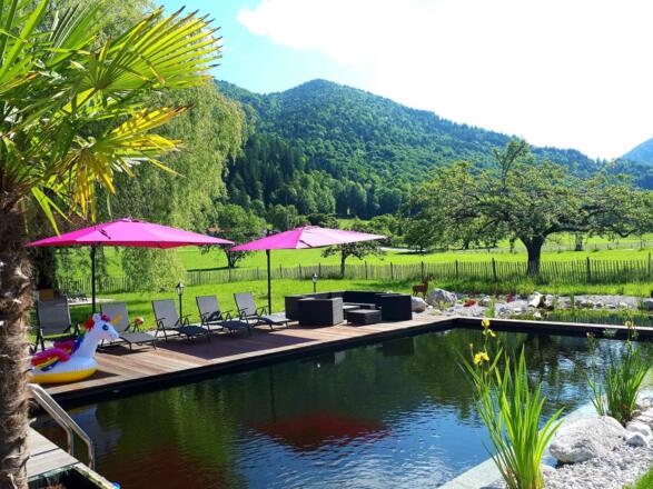 Schwimmteich im Garten