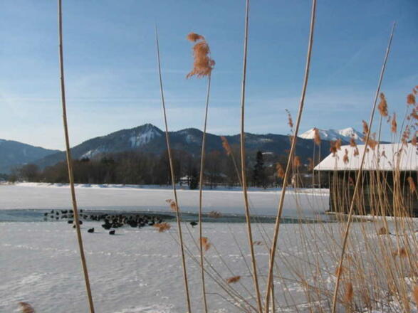 Eis am See, Blick zum Hirschberg, Süden