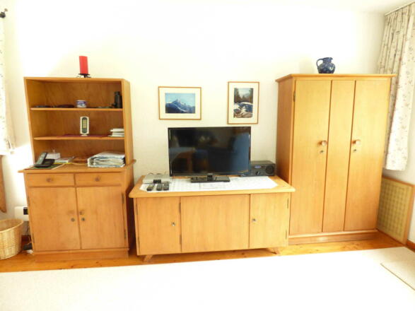 W-Lan, Telefon-Flat in Deutschland, Satelliten-Fernsehen und Digitalradio