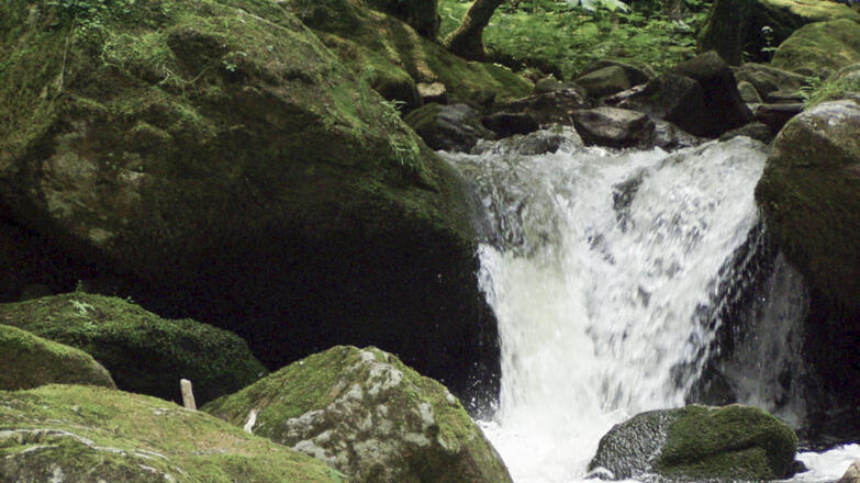 Kleiner-K%c3%b6sslbach_Wasserfall-des-kleinen-K%c3%b6sslbaches_c-Peherstorfer-Wolfgang_web