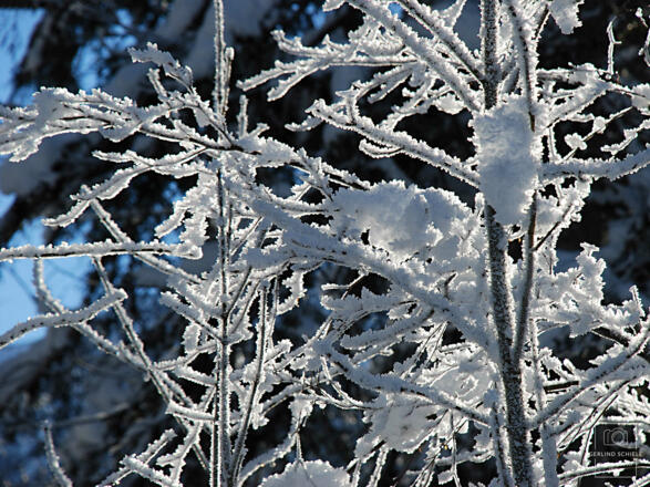 Hotel garni Haus Kiefer in Bad Wiessee am Tegernsee