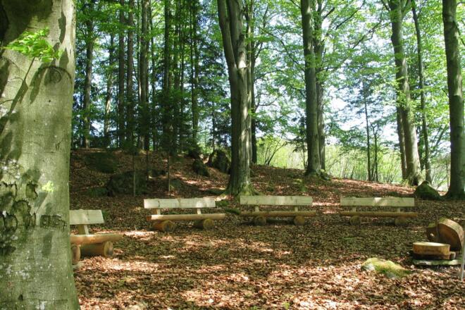 Waldschule in Reisdorf