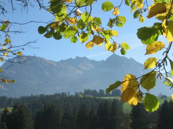 Herbstlicher Blick auf´s Nebelhorn
