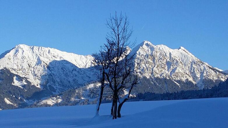 Entschenkopf und Rubihorn im Winter