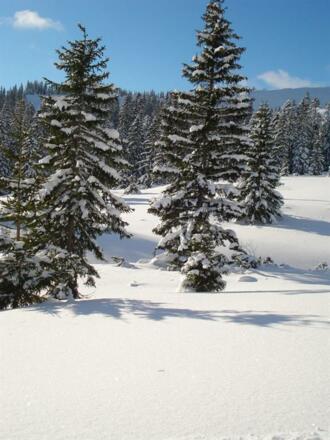 Grasgehren 17Nov 07 017