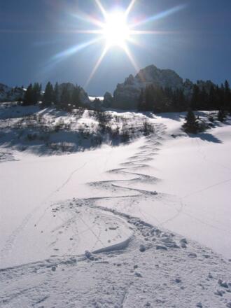 Auf der richtigen Spur