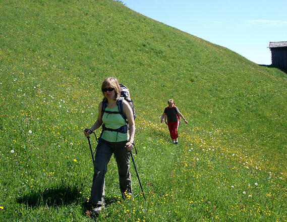 Wanderung durch schöne Wiesen