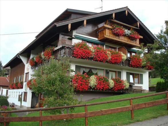 Sommer auf dem Bauernhof