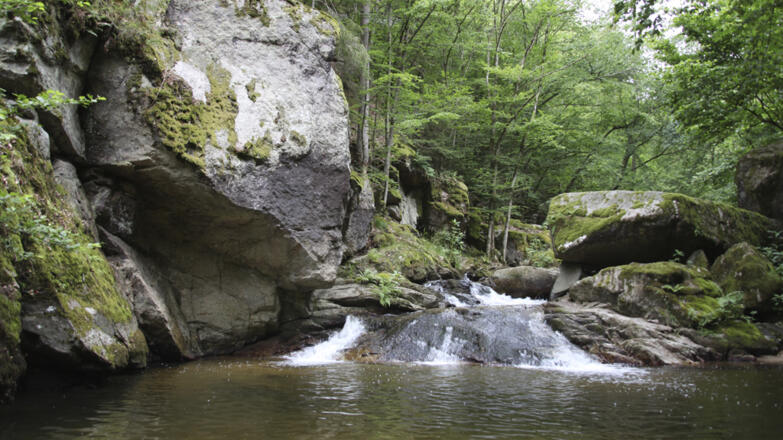 Pesenbachtal_Oberoesterreich-Tourismus-GmbH_Martin-Fickert (6)_web