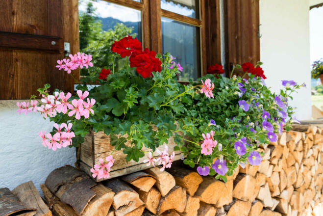 Gemütlichkeit rundum