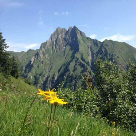 Ela Hiesinger 20150820_201147