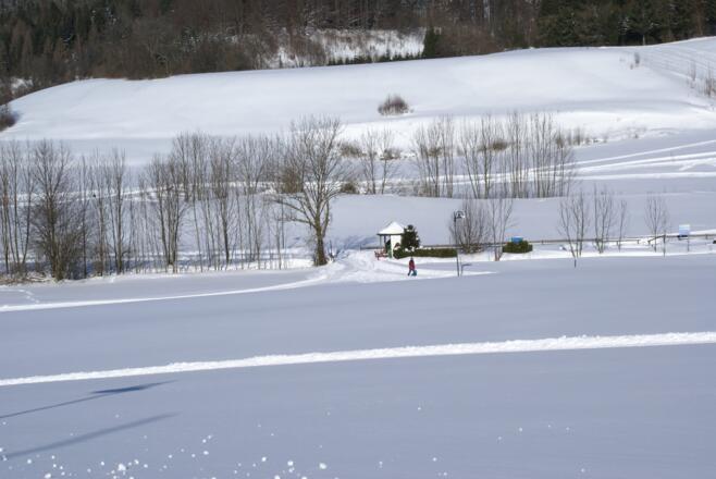 Langlaufen auf der Ellmauloipe