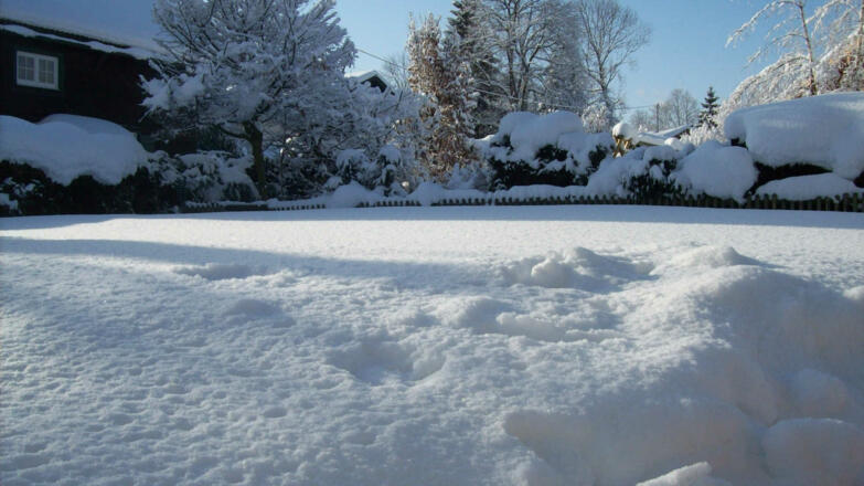 Schneebedeckte Wiese