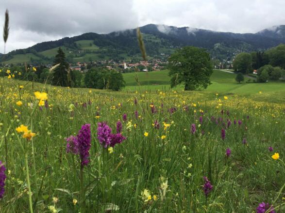 Wandern im schönen Bayern!