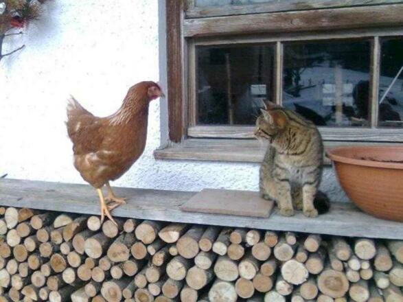 neue Kontakte knüpfen