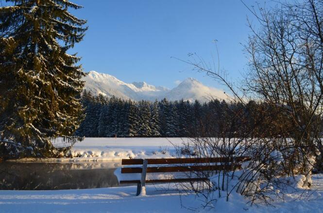 Winterlandschaft in Fischen